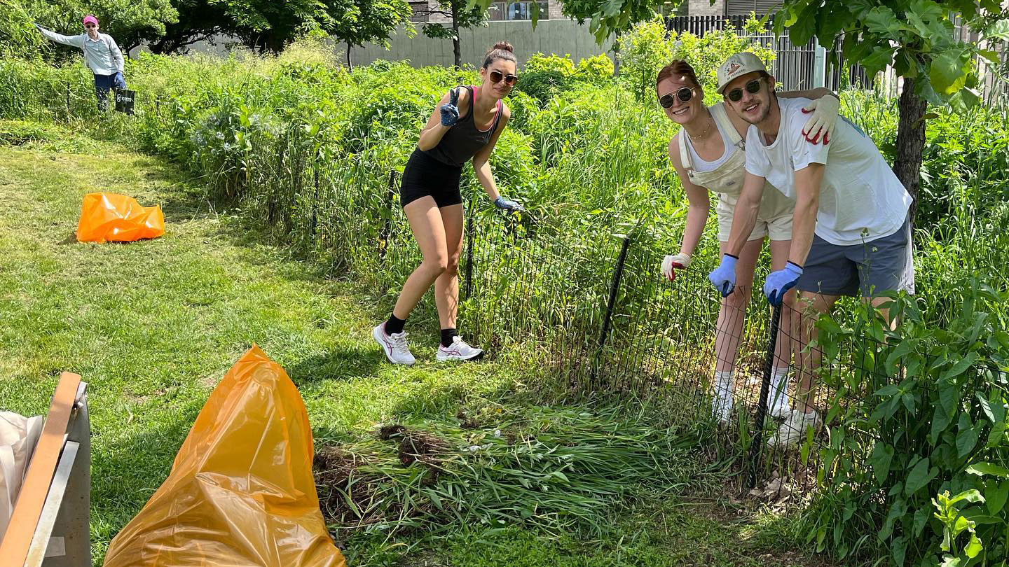 Volunteers in the Greenpoint Ave gardens